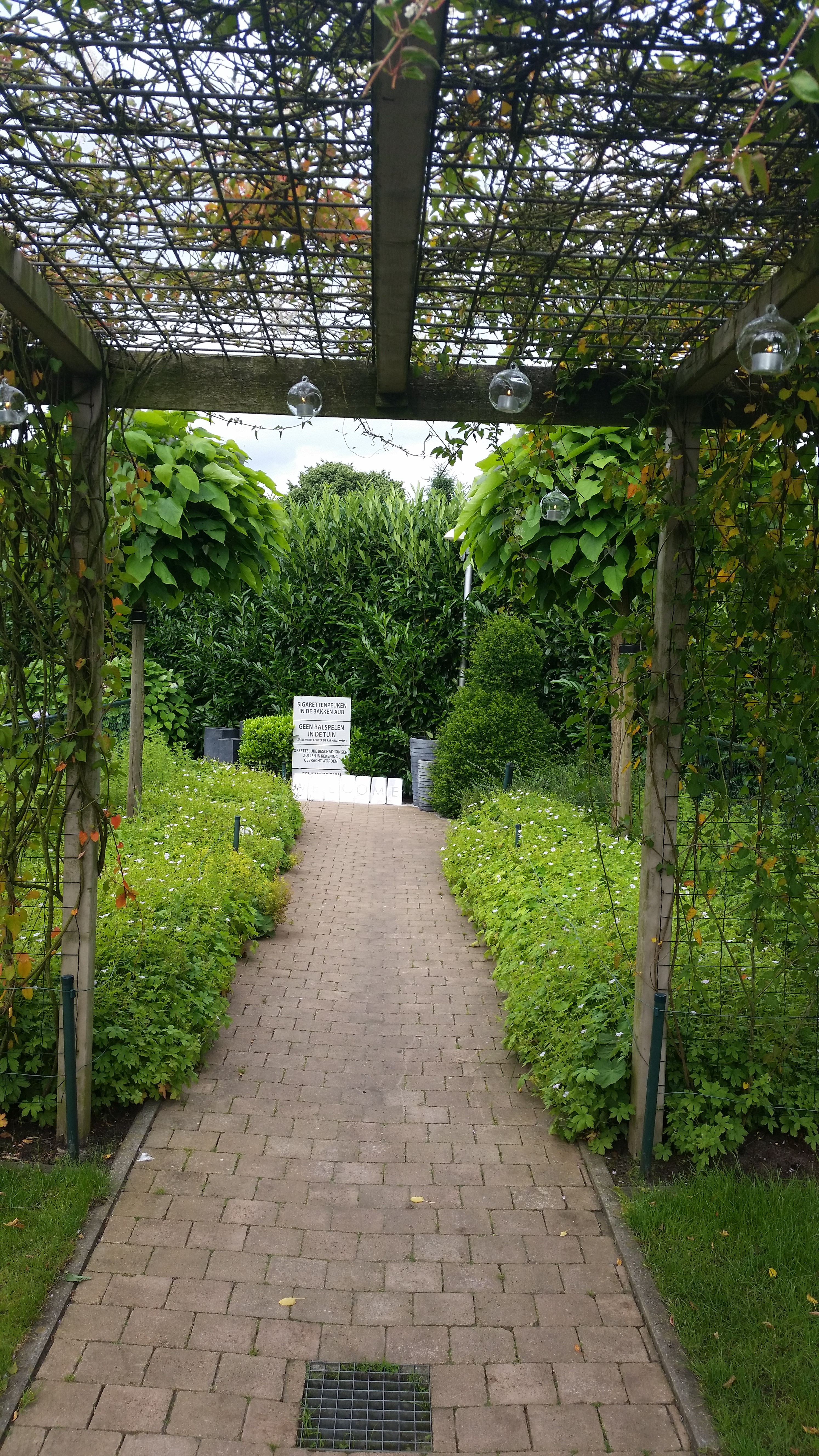 Glazen bolletjes in pergula